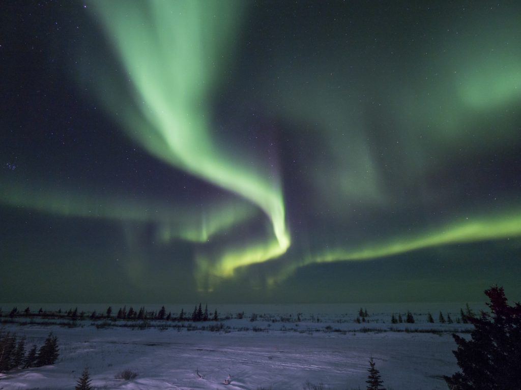 Northern lights over the Hudson Bay. Nanuk Polar bear Lodge.